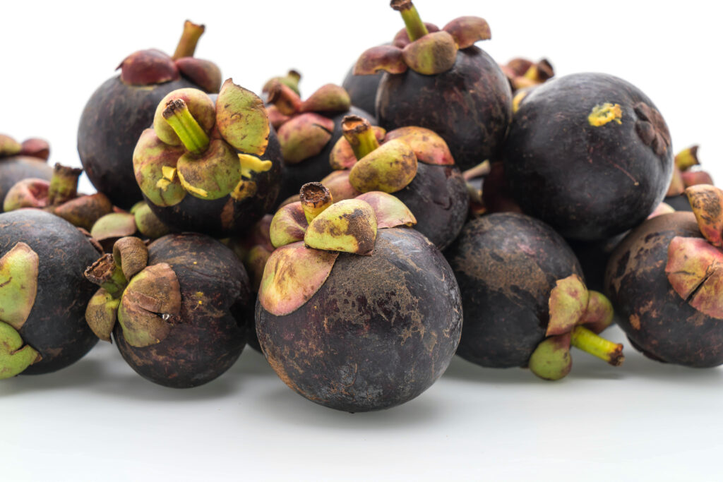 Fresh Mangosteen Wunjo