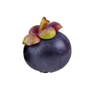 мангостин Wunjo