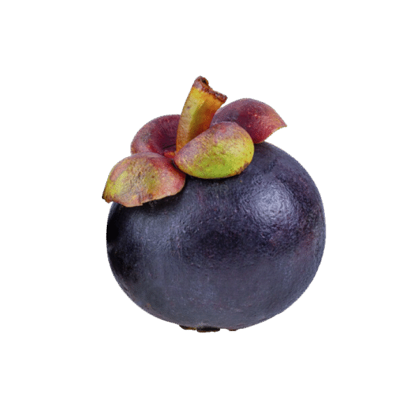 мангостин Wunjo