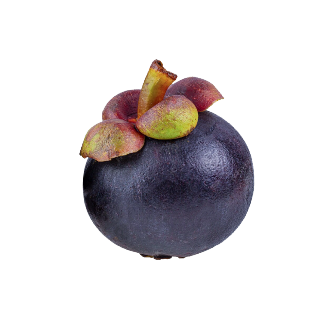 мангостин Wunjo