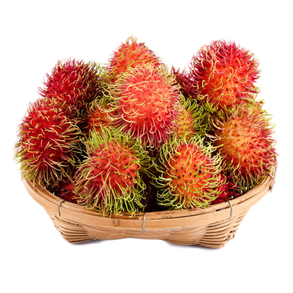 CHÔM CHÔM VĨNH LONG - Hình ảnh 2