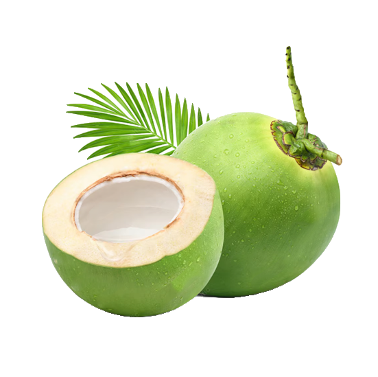 DỪA BẾN TRE